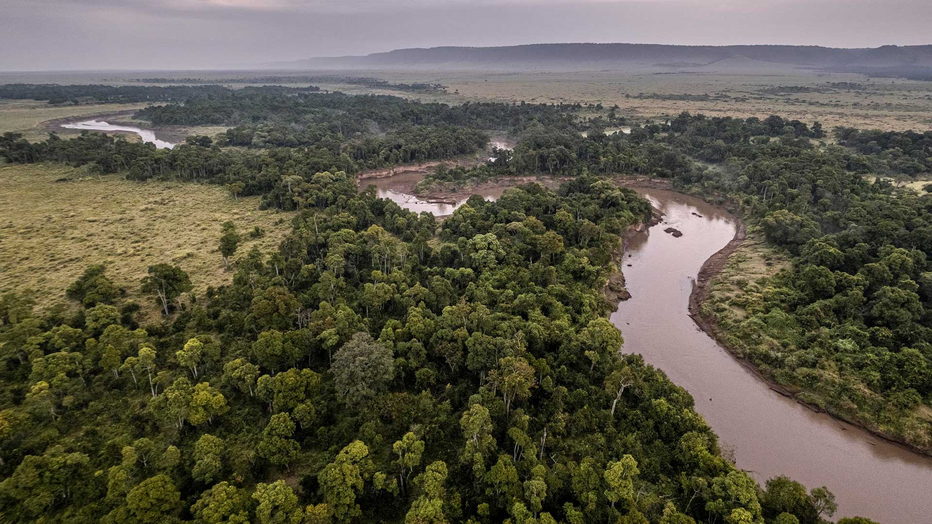 Maasai Mara