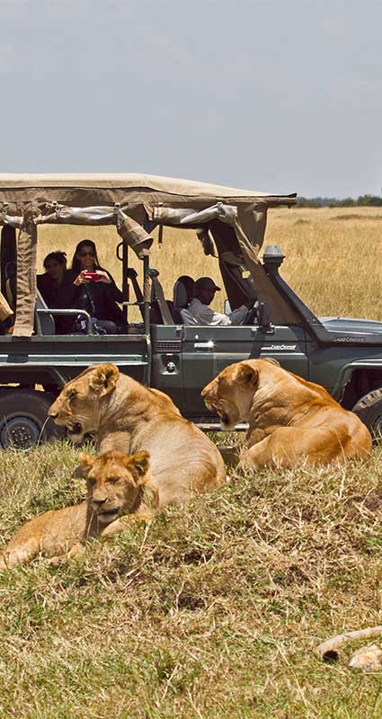 Maasai Mara safari
