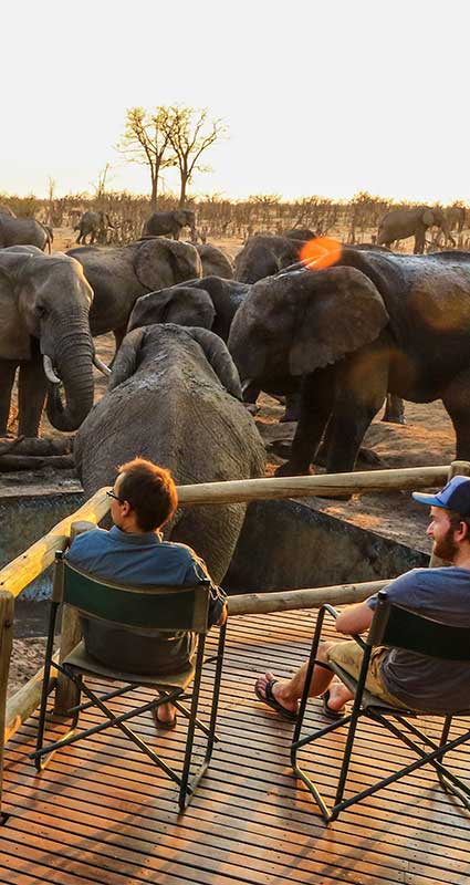 Hwange safari