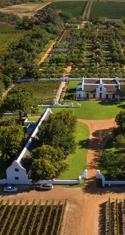 Cape winelands safari
