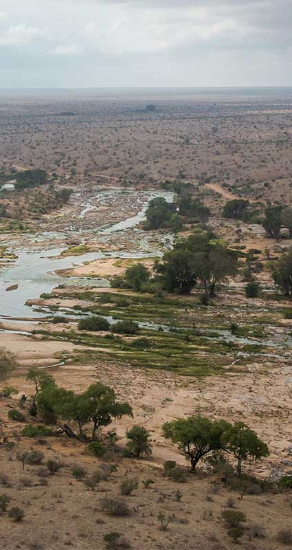 Tsavo safaris