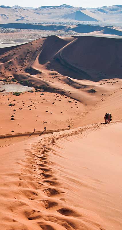 Sossusvlei safari
