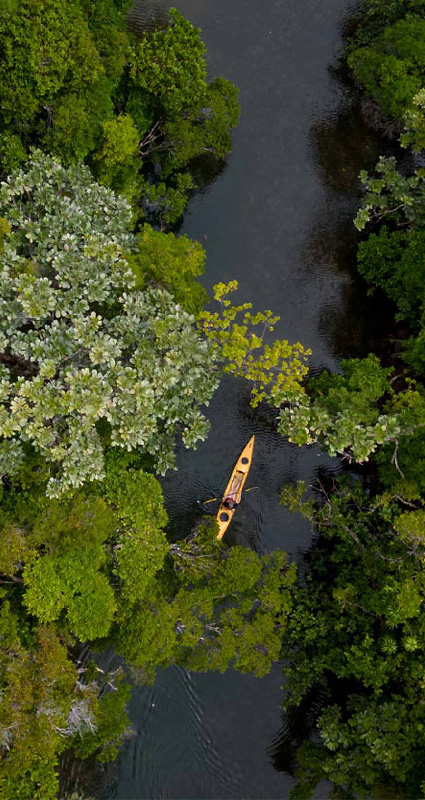 Masoala National Park, Madagscar