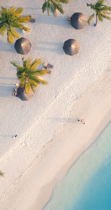 African safari in December - Zanzibar