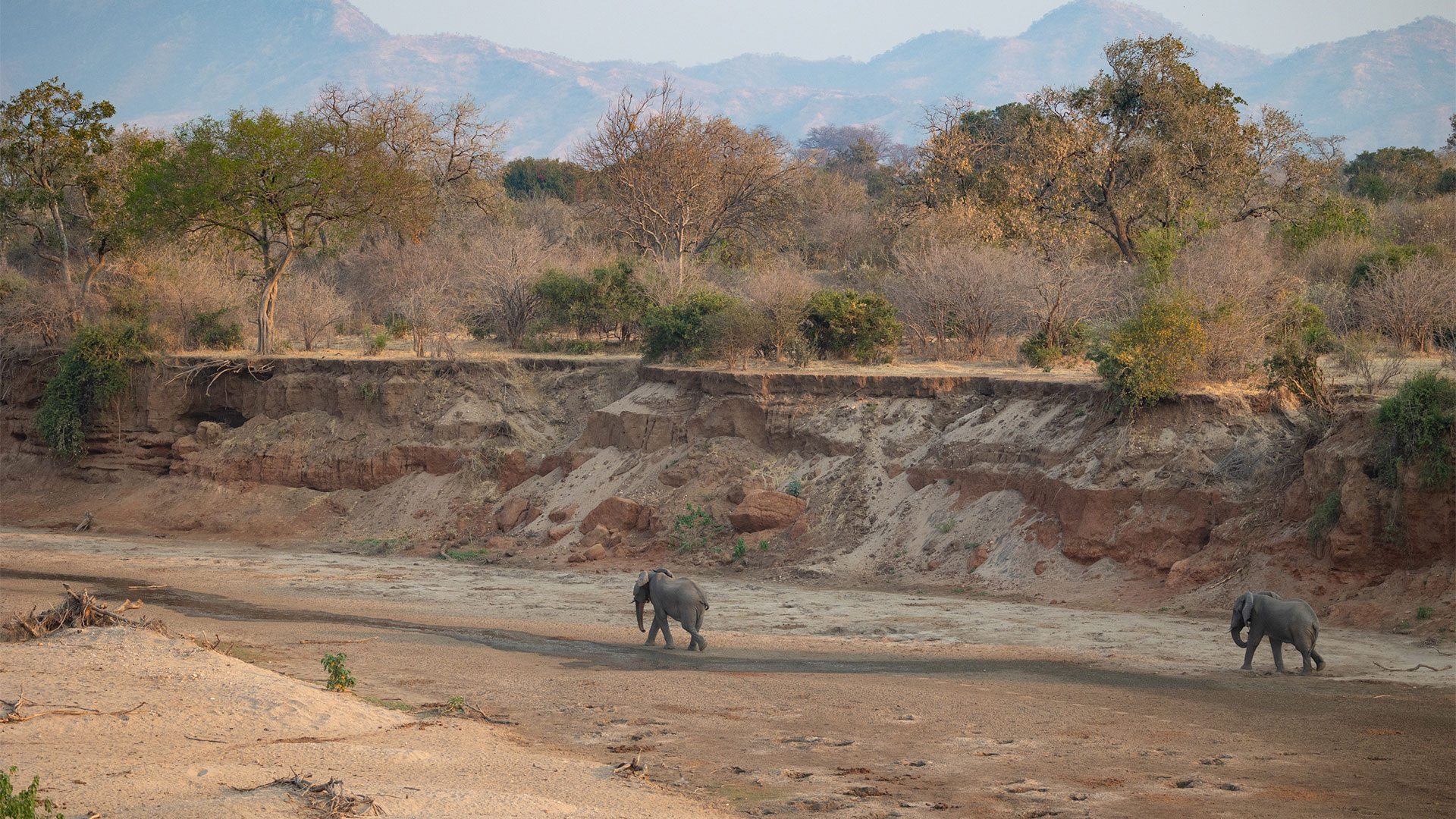 Mana Pools Zimbabwe safari