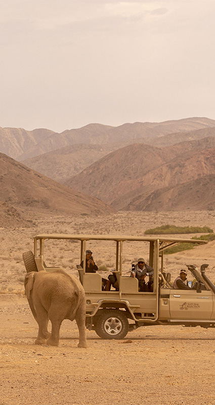 Luxury Namibian safari