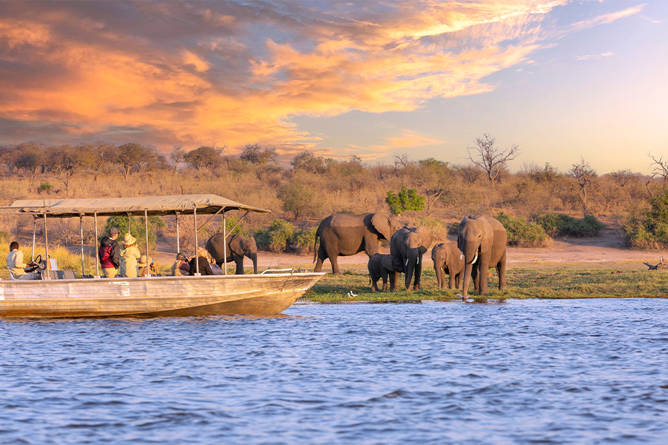 Botswana wildlife safari & Victoria Falls