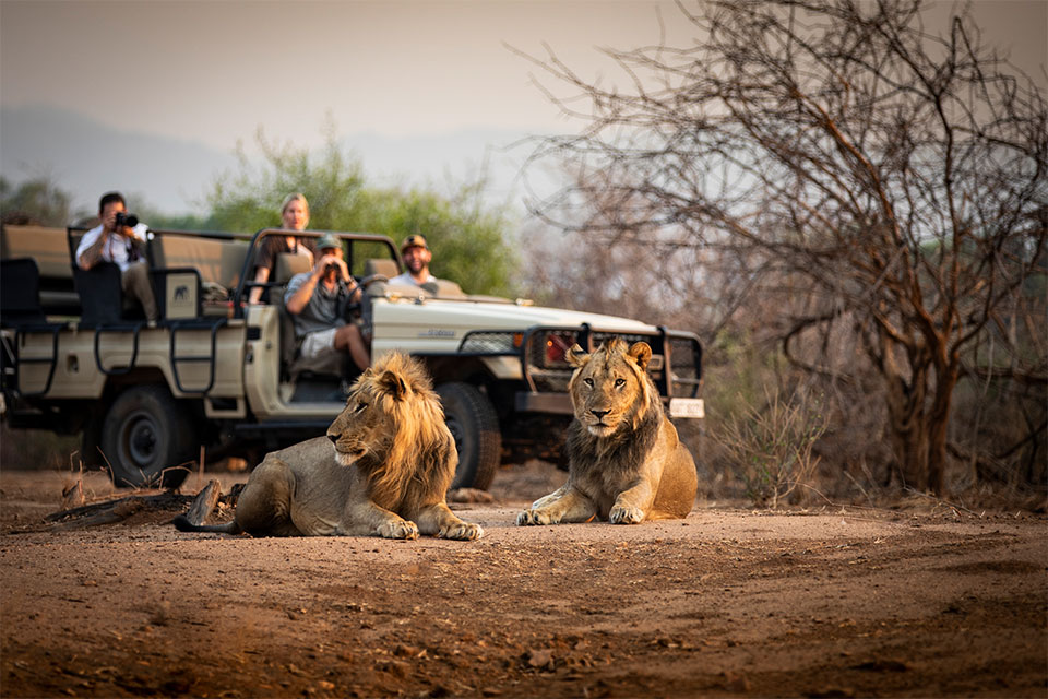 Luxury safari to Lower Zambezi & South Luangwa