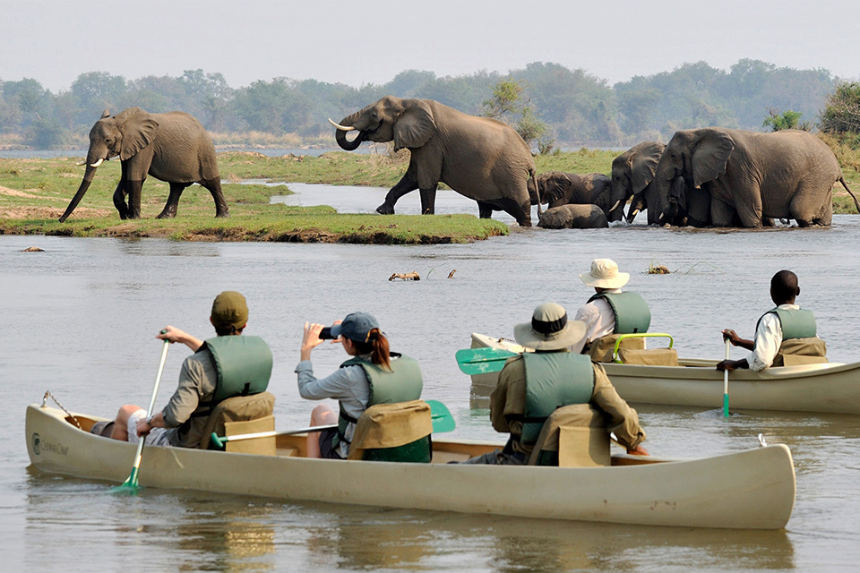 Lower Zambezi National Park