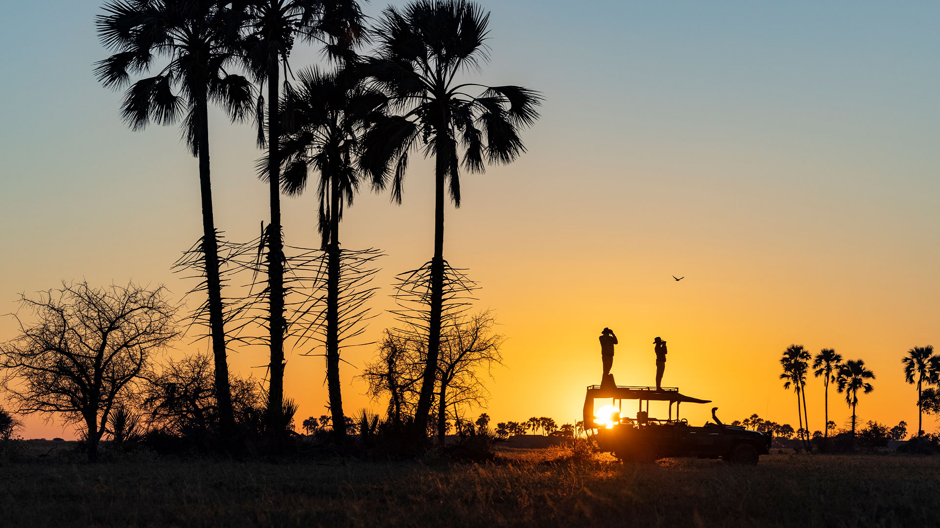 Botswana salt pans expedition