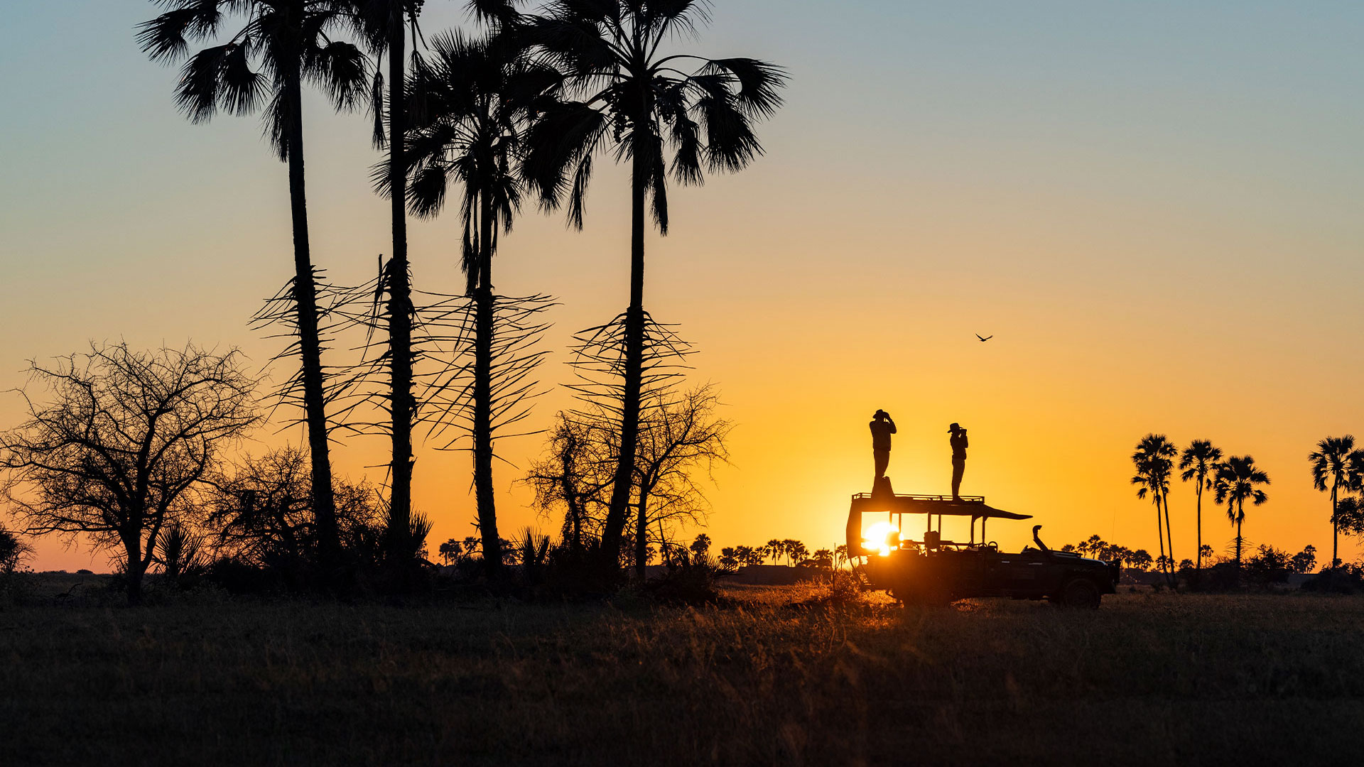 Botswana salt pans safari