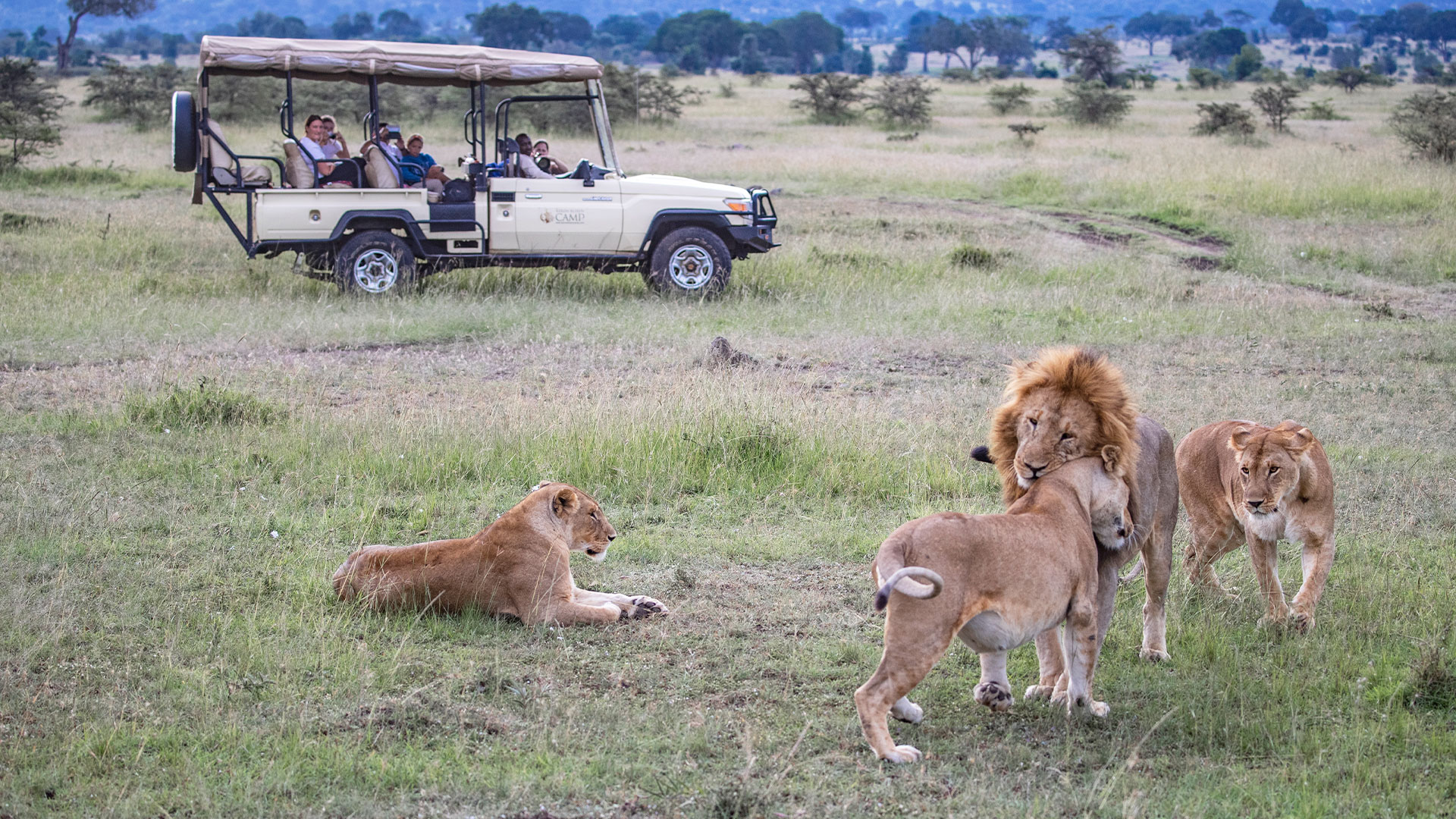 Book a Kenya family safari