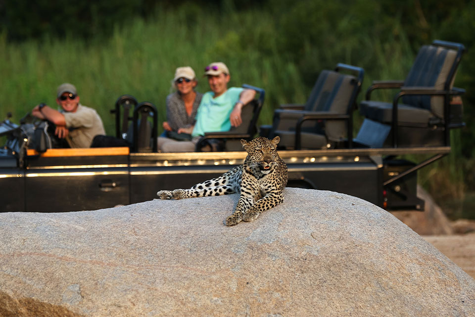 Kruger | Greater Kruger