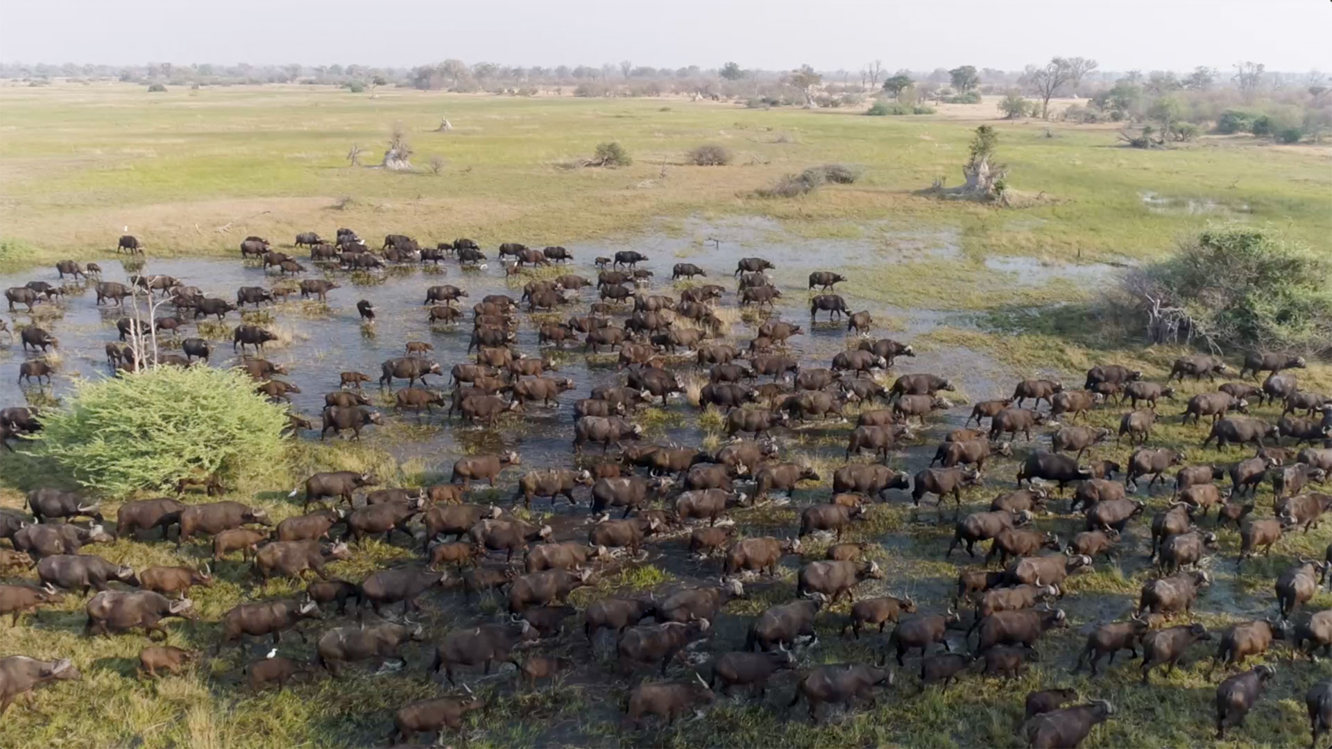 Okavango Delta Lodges