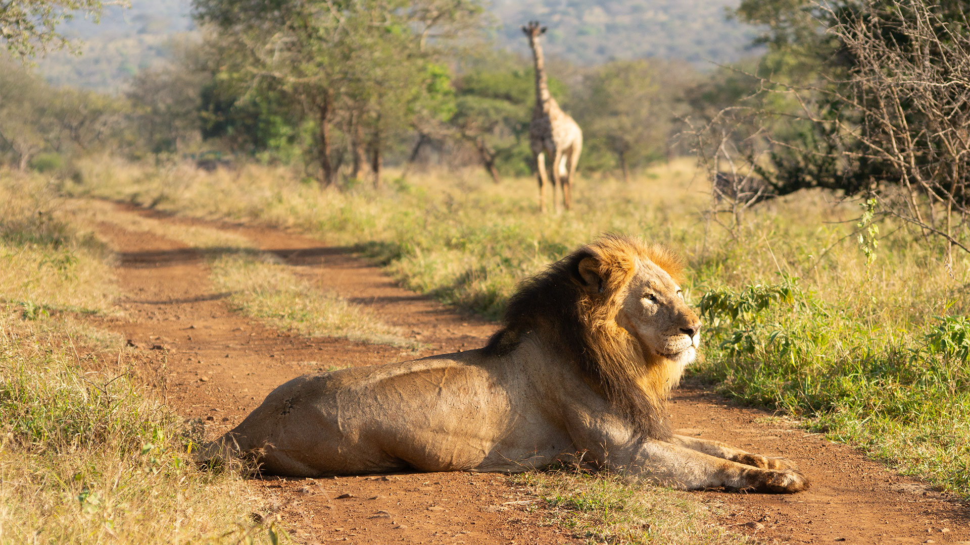 Book a Munyoni safari lodge
