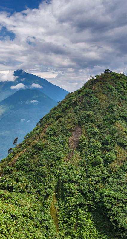 Mgahinga gorilla trekking Uganda