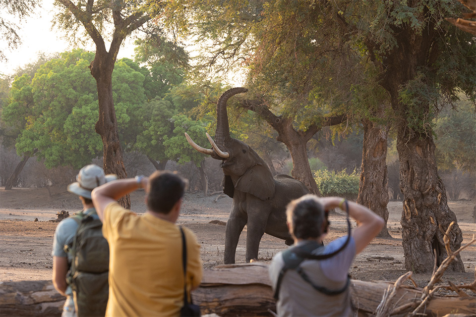 Mana Pools National Park
