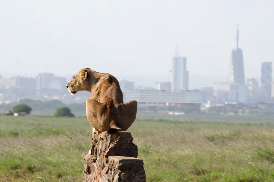Nairobi National Park
