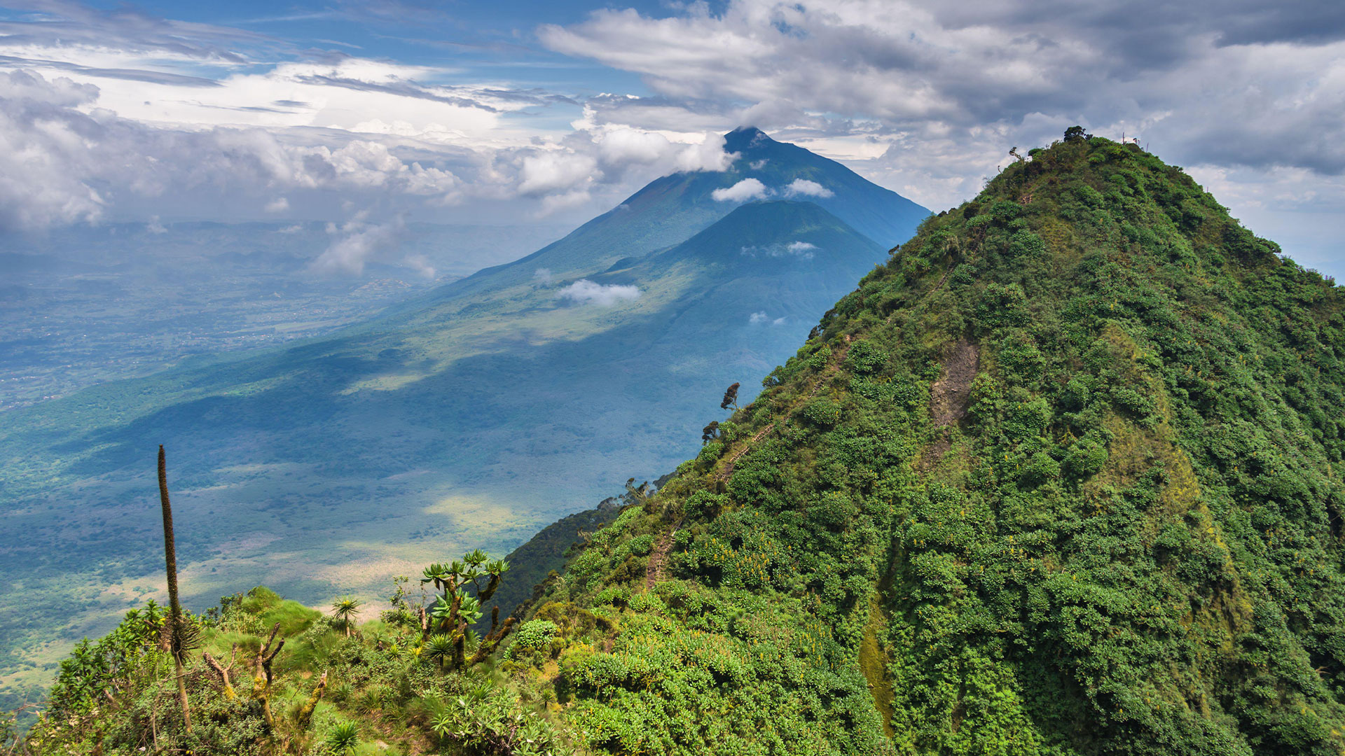 Mgahinga gorilla trekking Uganda