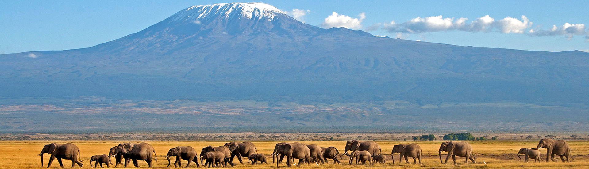 Safari in Africa