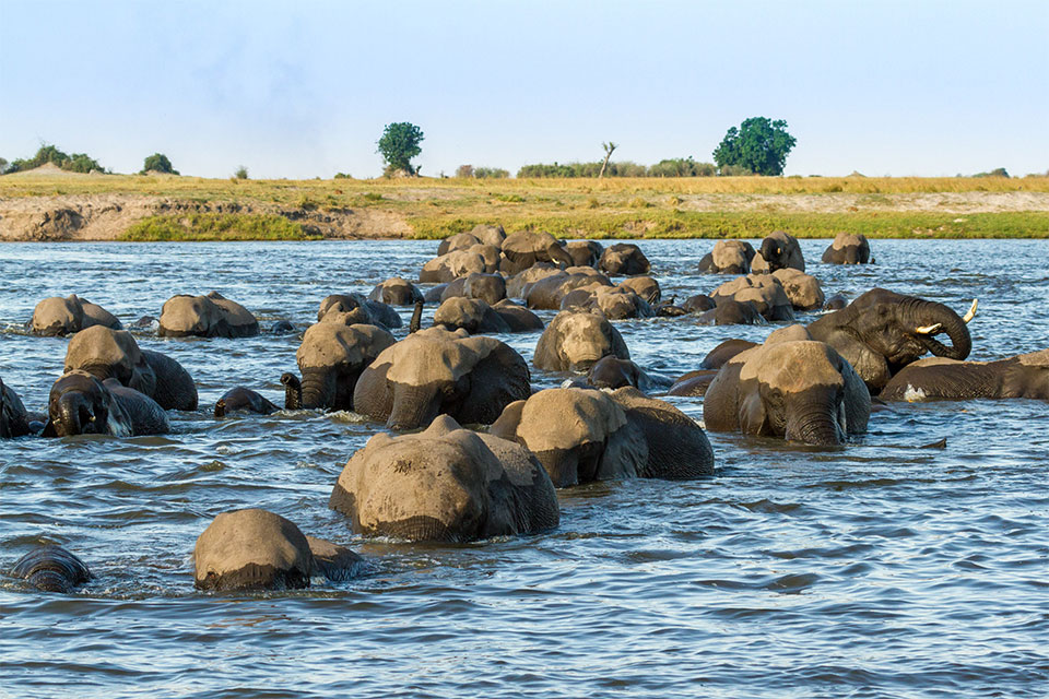 Chobe Riverfront