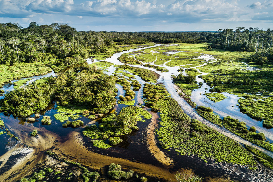 Odzala-Kokoua National Park