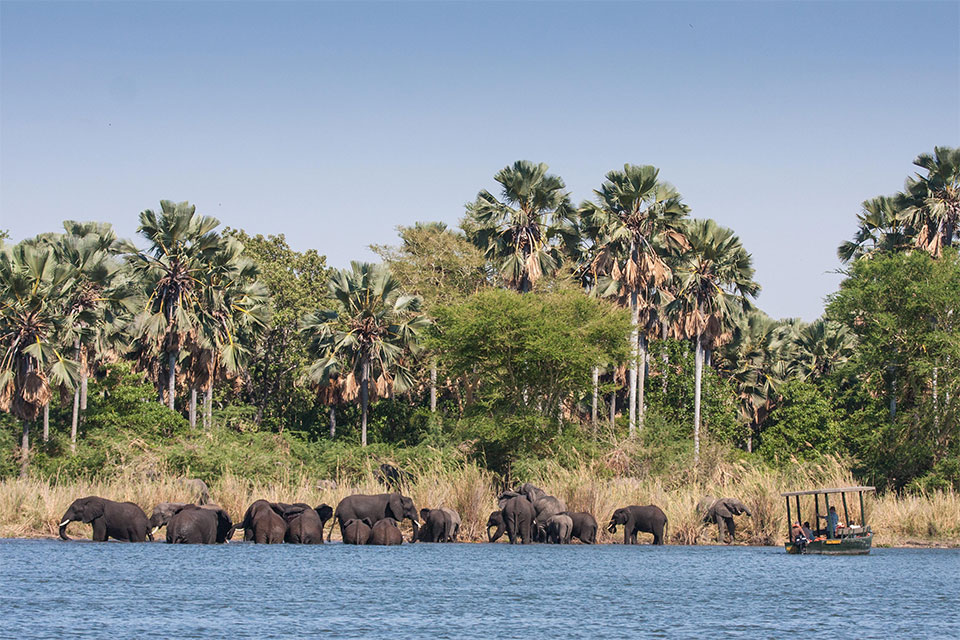 Best of Malawi&rsquo;s safari parks