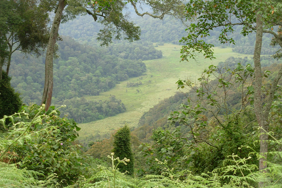 Uganda