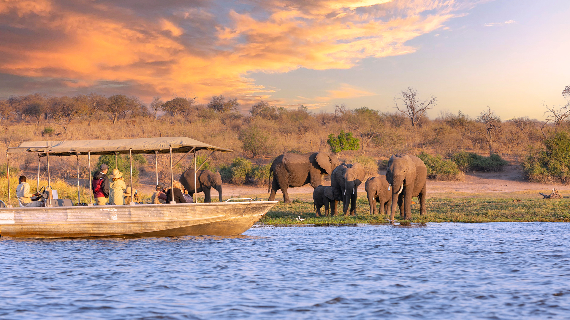 Chobe safari