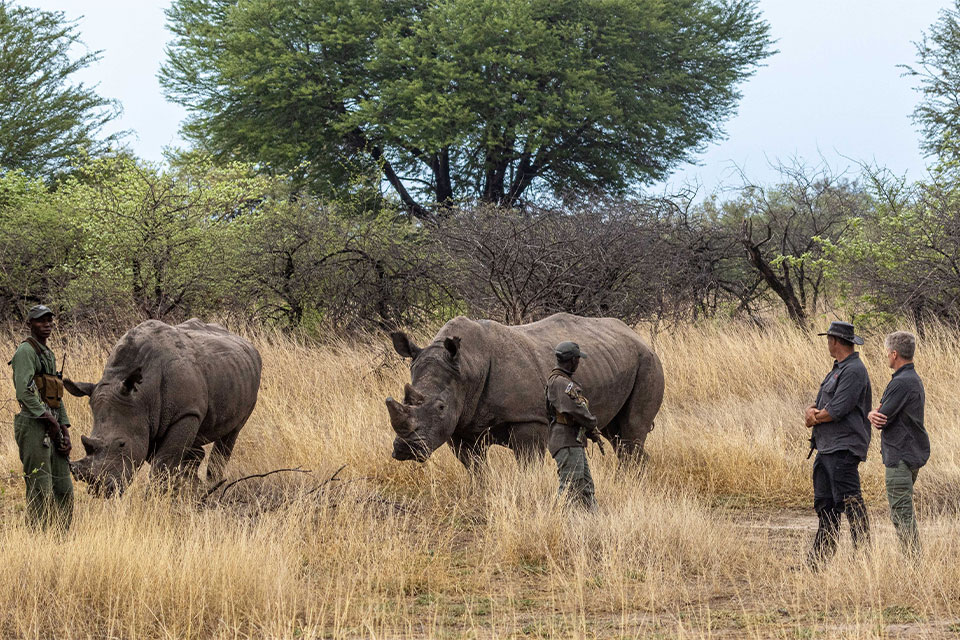 Hwange conservation safari + Victoria Falls