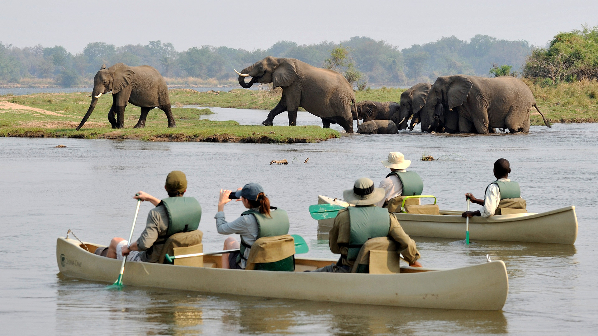 Lower Zambezi luxury safari