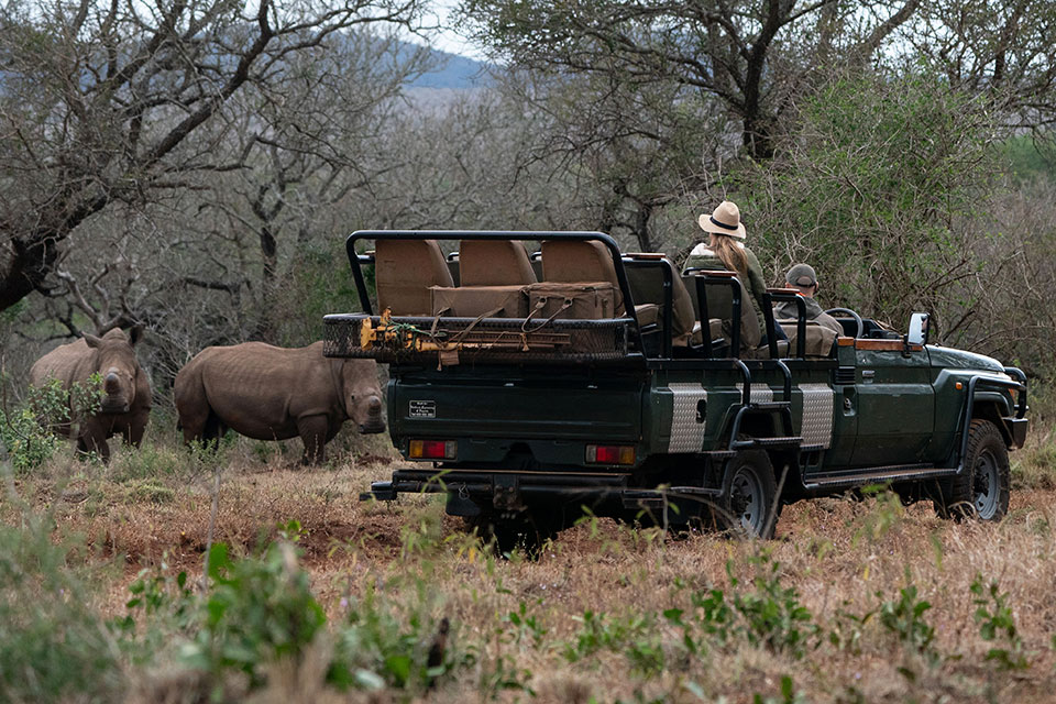 Bush & beach safari - South Africa