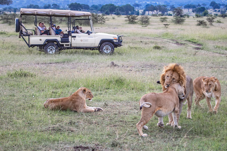 Family safari to Maasai Mara, Amboseli & Samburu