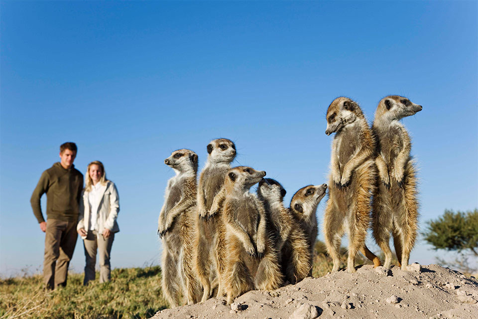 Makgadikgadi salt pans