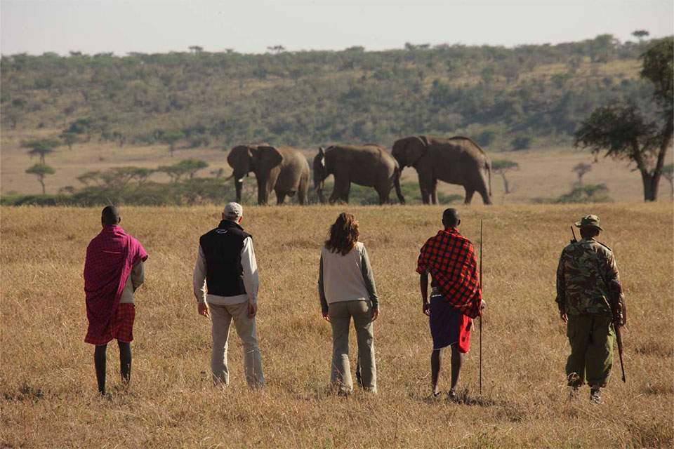 Kenya Big 5 in Laikipia & Maasai Mara