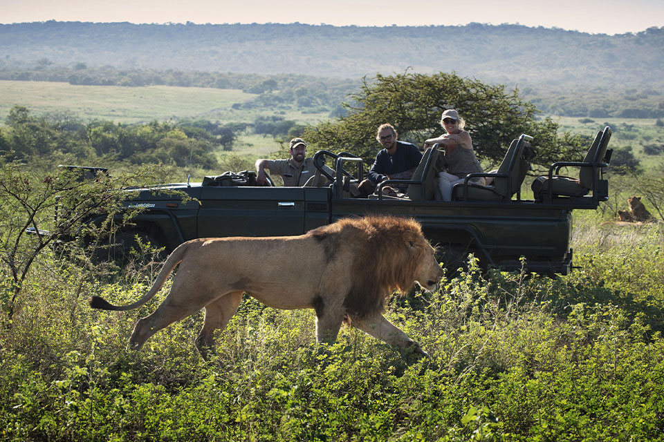 Cape Town | Greater Kruger | Victoria Falls