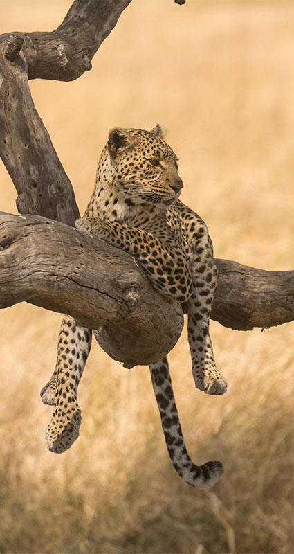 Tarangire National Park