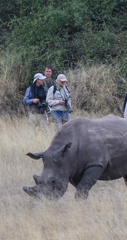 Hwange rhino safari