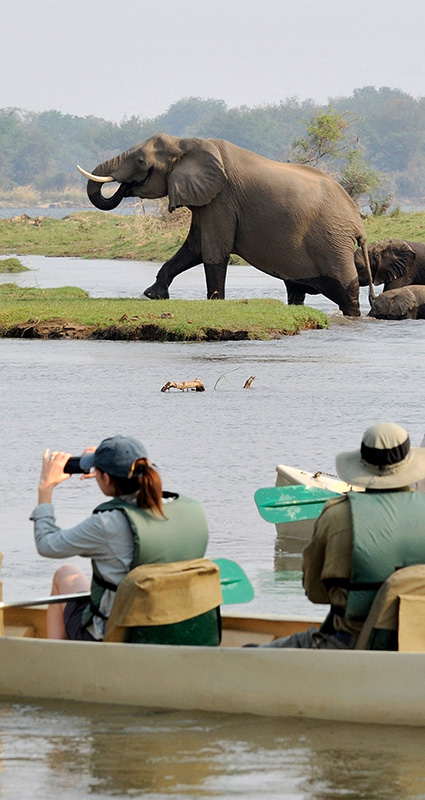 Luxury Zambia safari