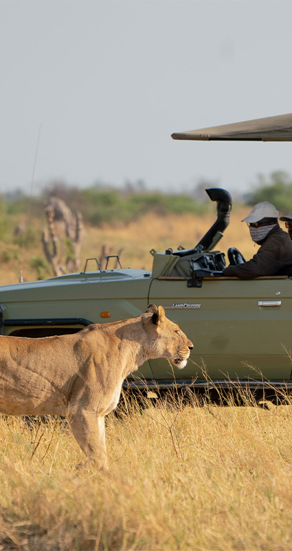 Kwando luxury safaris