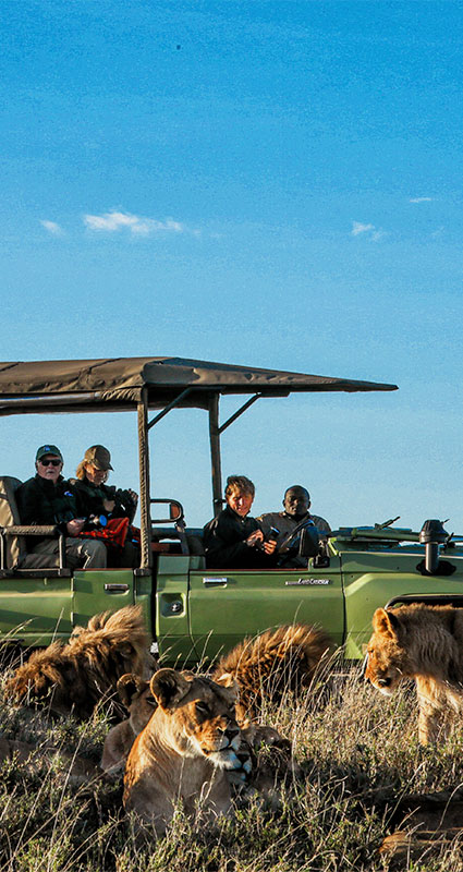 Serengeti Migration Safari Tanzania