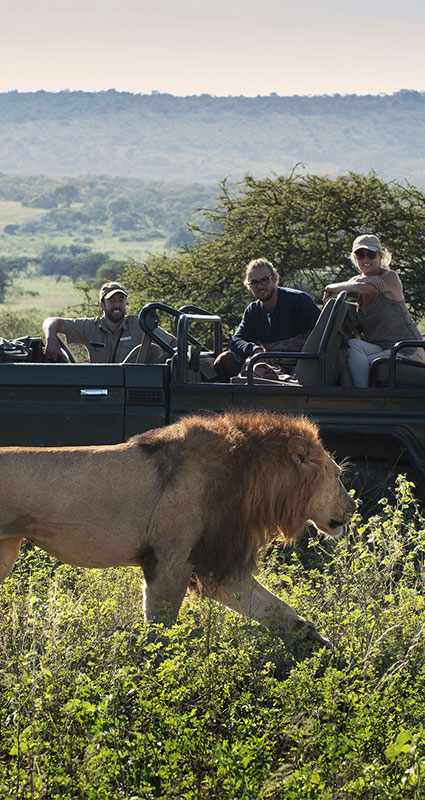 Luxury safari prices