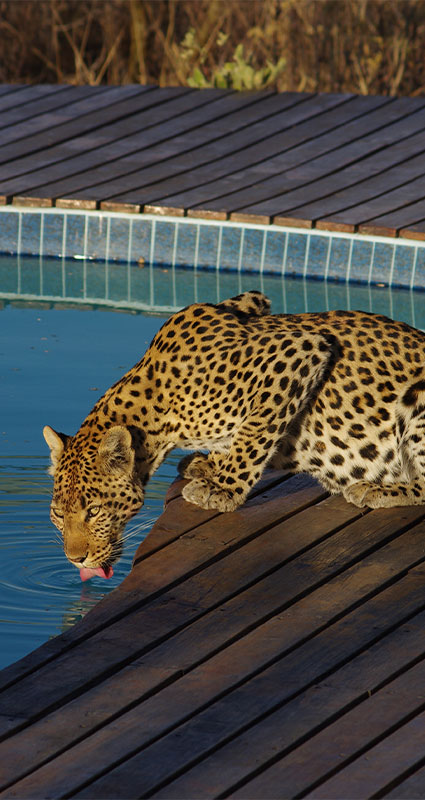 Kwando Botswana safaris