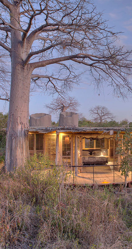 Luxury Ruaha safari