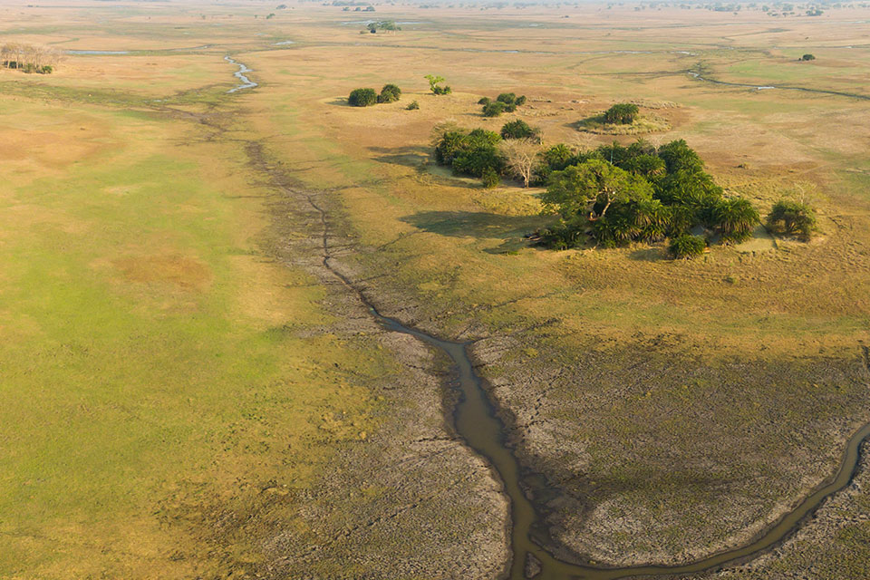 Busanga Plains