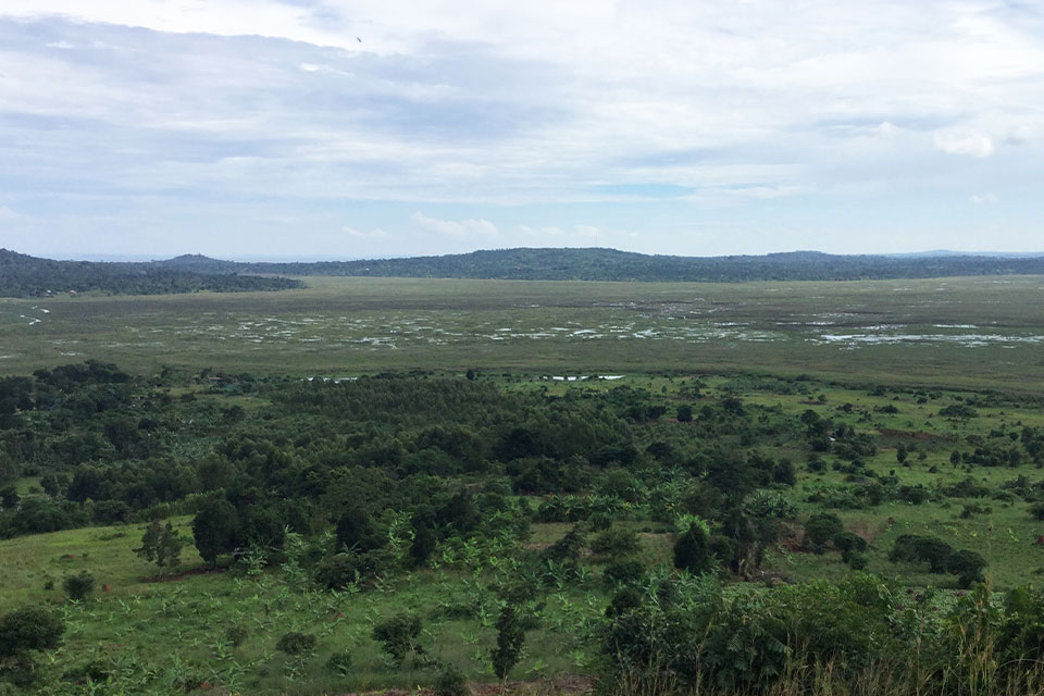 Mabamba Swamp