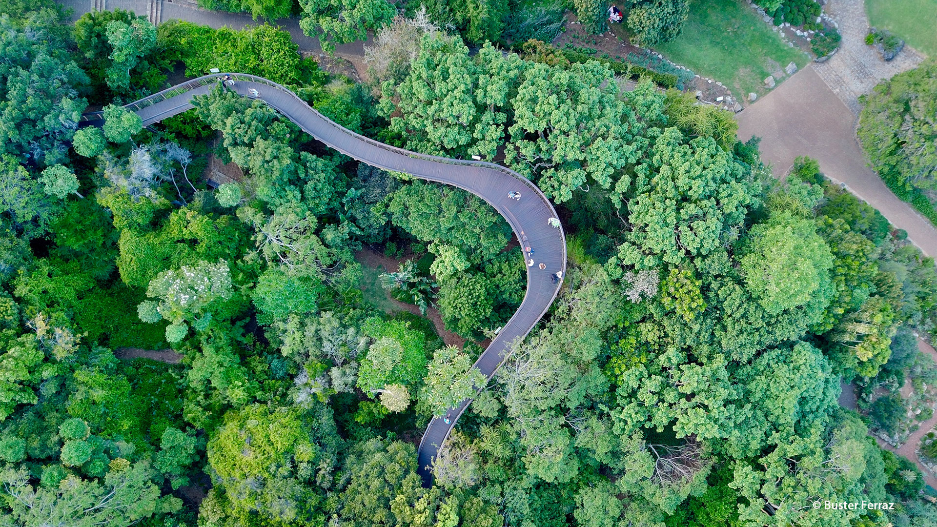 Kirstenbosch Gardens