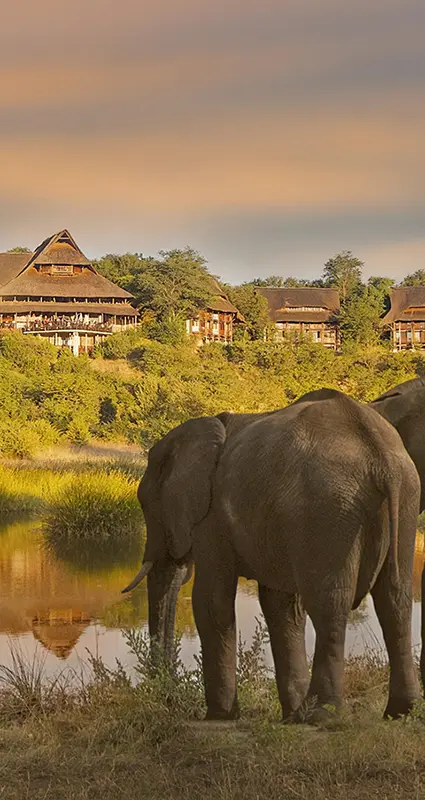 Victoria Falls safari