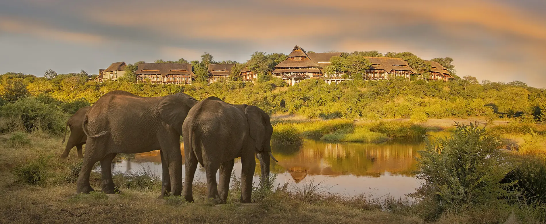 Victoria Falls safari