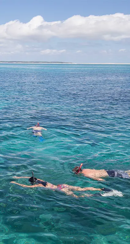 Bush and beach safari